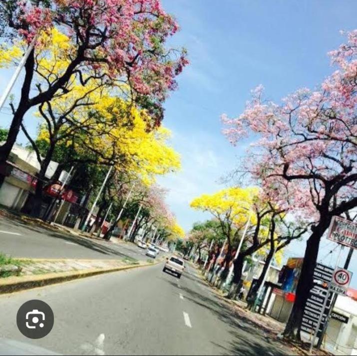 Posada Maria Elvia Villahermosa Zewnętrze zdjęcie